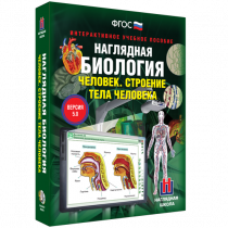 Наглядная биология. Человек. Строение тела человека - «globural.ru» - Йошкар-Ола