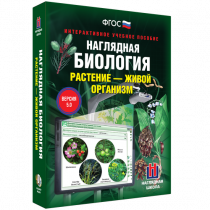 Наглядная биология. Растение - живой организм - «globural.ru» - Йошкар-Ола