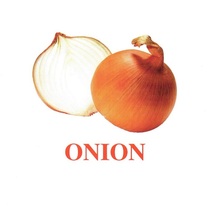 "Vegetables-Greenery-1" ("Овощи-Зелень-1") английские карточки Домана - «globural.ru» - Йошкар-Ола