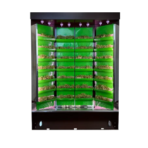 Вертикальная ферма "Моя Микрозелень" комплектация "Театро настольная" - «globural.ru» - Йошкар-Ола