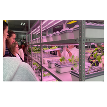 АГРОпространство для ВУЗ/СПО - «globural.ru» - Йошкар-Ола