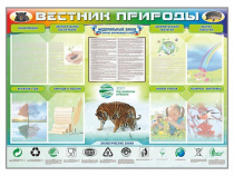 Стенд-уголок "Вестник природы" (вариант 1) - «globural.ru» - Йошкар-Ола