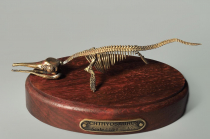 Модель скелета ихтиозавра Ichthyosaurus - «globural.ru» - Йошкар-Ола