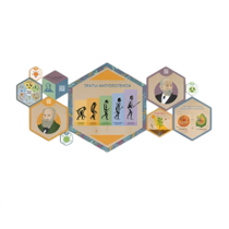 «Стендум - Биология» - набор информационно-методических панелей (10 шт.) - «globural.ru» - Йошкар-Ола