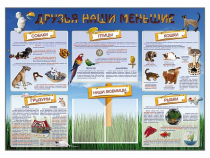 Стенд-уголок "Друзья наши меньшие" - «globural.ru» - Йошкар-Ола