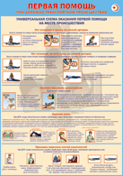 Плакат "Универсальная схема оказания первой помощи на месте происшествия" 1000*1400 винил - «globural.ru» - Йошкар-Ола