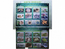 Комбинированный модульный комплекс "Лого-биолог" - «globural.ru» - Йошкар-Ола