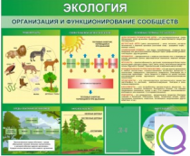 Стенд "Экология. Организация и функционирование сообществ" - «globural.ru» - Йошкар-Ола