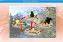 Интерактивные курсы. Биология 7 класс. Базовый - «globural.ru» - Йошкар-Ола