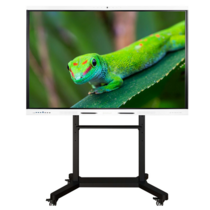 Интерактивный комплекс Geckotouch ​​​​​​​65RK - «globural.ru» - Йошкар-Ола