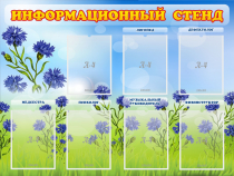 Стенд информационный с 7 карманами - «globural.ru» - Йошкар-Ола