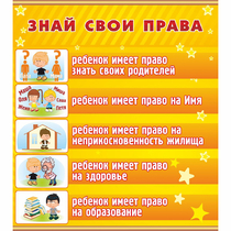 Стенд "Знай свои права" - «globural.ru» - Йошкар-Ола