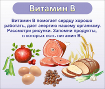 Стенд "Витамин В" - «globural.ru» - Йошкар-Ола