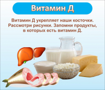 Стенд "Витамин Д" - «globural.ru» - Йошкар-Ола