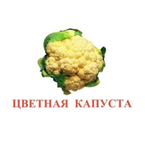 Карточки Домана "Овощи-Зелень-2" - «globural.ru» - Йошкар-Ола