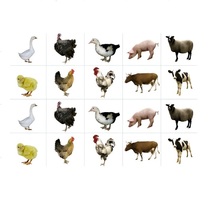 Комплект карточек. Серия наглядных пособий "Запоминай, играй, считай". Домашние животные - «globural.ru» - Йошкар-Ола