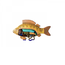 Модель барельефная "Внутреннее строение рыбы" - «globural.ru» - Йошкар-Ола