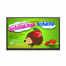 Интерактивная сенсорная панель 55"  (UHD 4K) - «globural.ru» - Йошкар-Ола