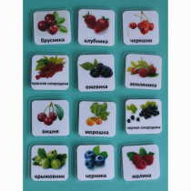 Набор карточек "Ягоды" - «globural.ru» - Йошкар-Ола