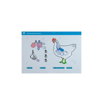 Стенд-планшет светодинамический "Изучение органов дыхания сельскохозяйственных животных" со сменными панелями - «globural.ru» - Йошкар-Ола