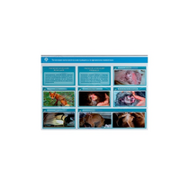 Стенд-планшет светодинамический "Изучение типических патологических процессов в организмах животных" - «globural.ru» - Йошкар-Ола