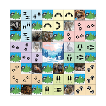 Коврик для логобота Пчелка "Следы животных" - «globural.ru» - Йошкар-Ола