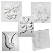 Комплект гипсовых моделей растений  - «globural.ru» - Йошкар-Ола