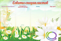 Стенд "Советы специалистов" - «globural.ru» - Йошкар-Ола