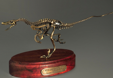 Модель скелета динозавра Velociraptor - «globural.ru» - Йошкар-Ола