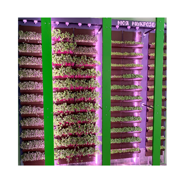 Вертикальная ферма "Моя Микрозелень" комплектация Школьная - «globural.ru» - Йошкар-Ола