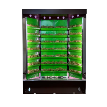 Вертикальная ферма "Моя Микрозелень" комплектация "Театро настольная" - «globural.ru» - Йошкар-Ола