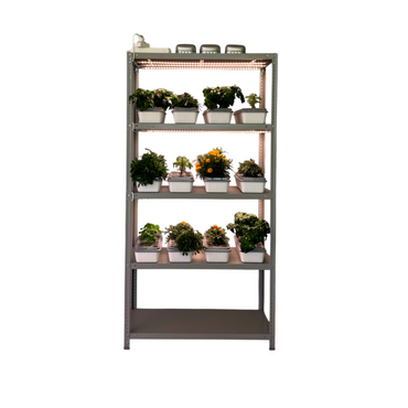 Обучающий комплект "АГРОлаборатория" (1 стеллаж)  - «globural.ru» - Йошкар-Ола