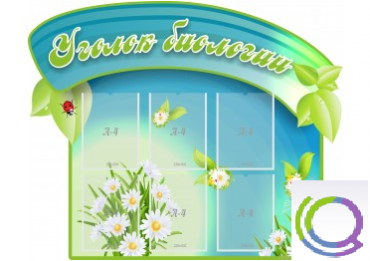 Стенд "Уголок биологии" - «globural.ru» - Йошкар-Ола