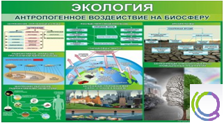 Стенд "Экология. Антропогенное воздействие на биосферу" - «globural.ru» - Йошкар-Ола