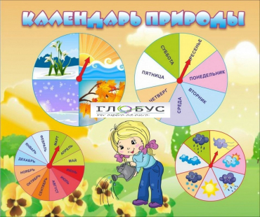 Стенд "Календарь природы" (вариант 1) - «globural.ru» - Йошкар-Ола