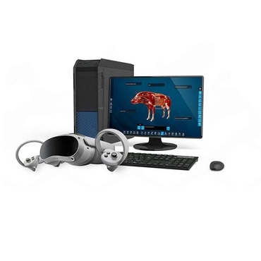 Интерактивный учебный комплекс «Анатомия Свиньи» - «globural.ru» - Йошкар-Ола