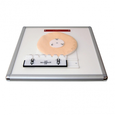 Комплекс "Изучение зубьев" - «globural.ru» - Йошкар-Ола