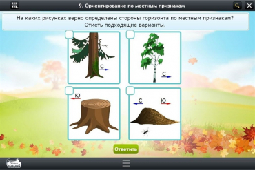 Интерактивные курсы. Окружающий мир 1 класс. Базовый - «globural.ru» - Йошкар-Ола