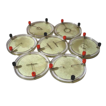 Демонстрационный комплект «Силовые линии электрического поля разных систем зарядов» - «globural.ru» - Йошкар-Ола