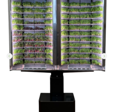 Вертикальная  ферма «Моя микрозелень» комплектация  «Театро настенная» - «globural.ru» - Йошкар-Ола