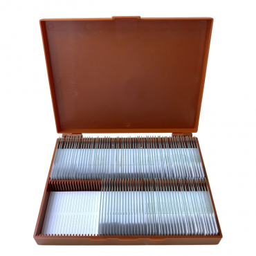 Комплект микропрепаратов по анатомии, ботанике, зоологии, общей биологии - «globural.ru» - Йошкар-Ола