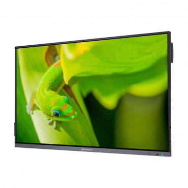 Интерактивный программно-аппаратный комплекс Geckotouch Interactive IP75GT-C в комплекте с настенным креплением - «globural.ru» - Йошкар-Ола
