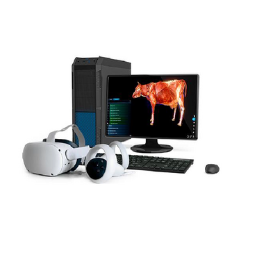 Интерактивный учебный комплекс «Анатомия Коровы» - «globural.ru» - Йошкар-Ола