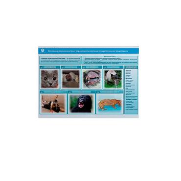 Стенд-планшет светодинамический «Острые отравления животных лекарственными препаратами» - «globural.ru» - Йошкар-Ола