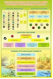 Стенд "Классификация животного мира" - «globural.ru» - Йошкар-Ола