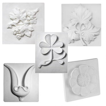 Комплект гипсовых моделей растений  - «globural.ru» - Йошкар-Ола